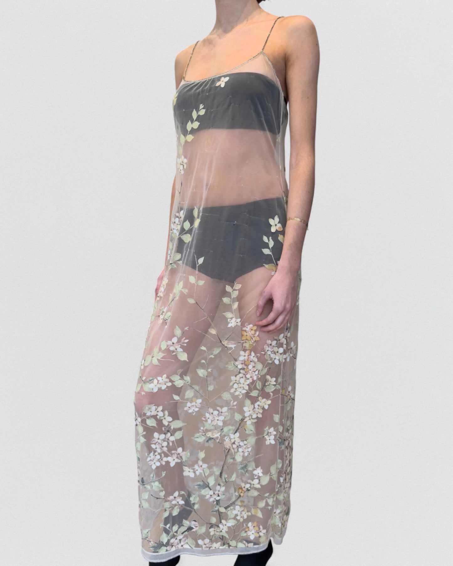 Roberto Cavalli Spring 1998 Sheer Floral Maxi Dress