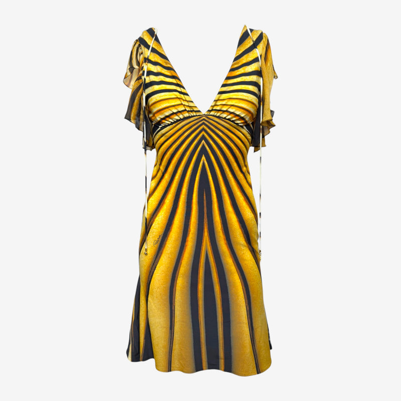Roberto Cavalli S/S 2007 Amber & Black Tiger-Print Flutter-Sleeve Mini Dress
