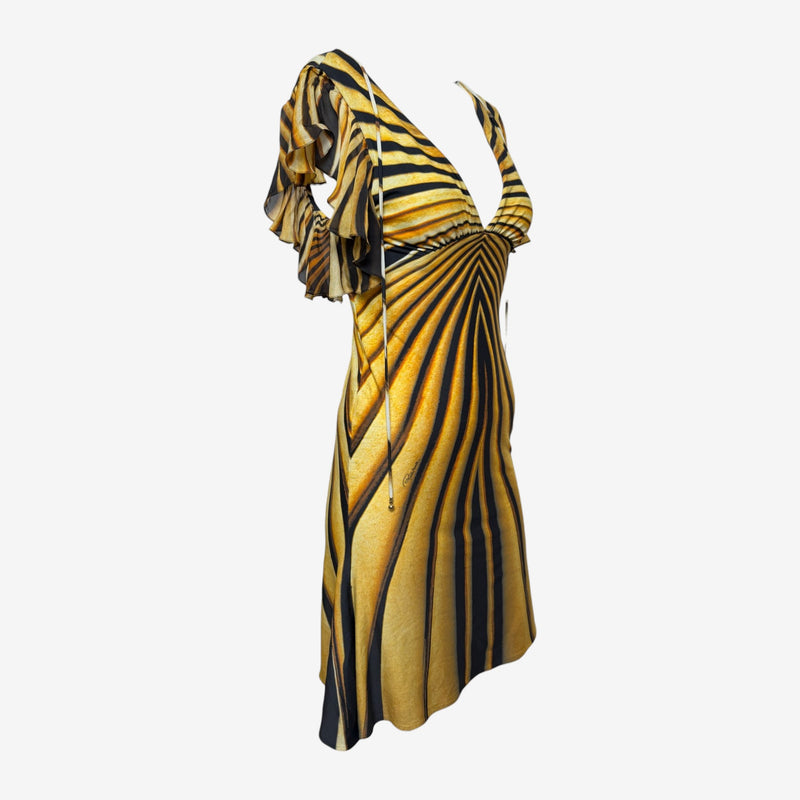 Roberto Cavalli S/S 2007 Amber & Black Tiger-Print Flutter-Sleeve Mini Dress