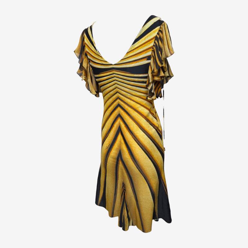 Roberto Cavalli S/S 2007 Amber & Black Tiger-Print Flutter-Sleeve Mini Dress