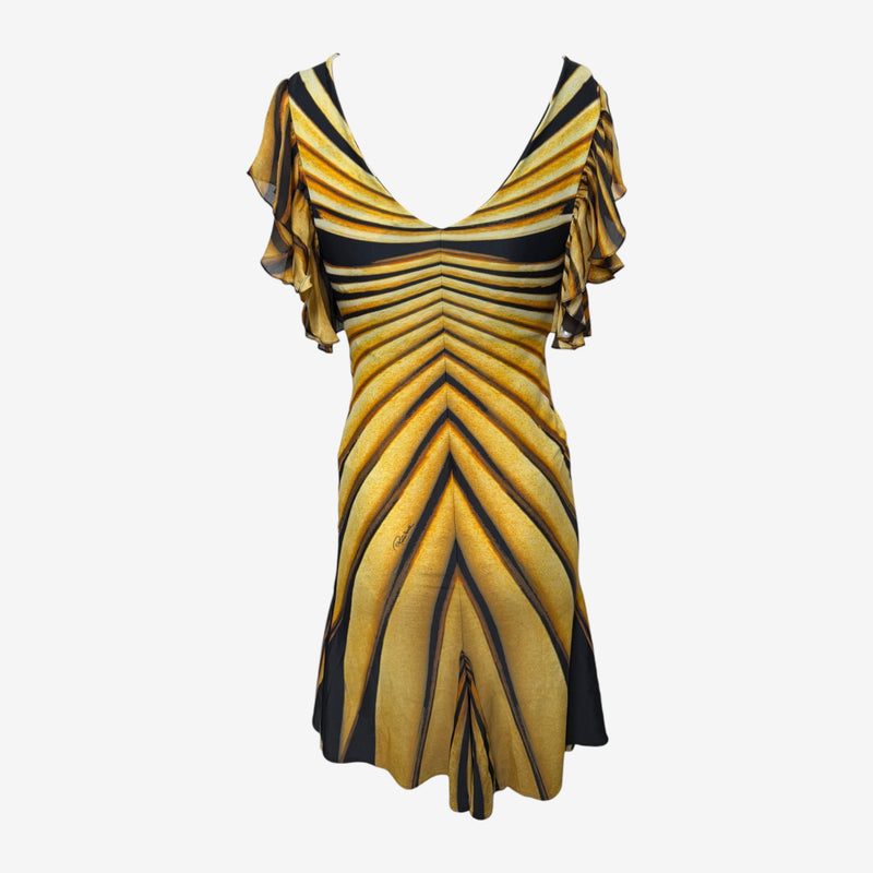 Roberto Cavalli S/S 2007 Amber & Black Tiger-Print Flutter-Sleeve Mini Dress