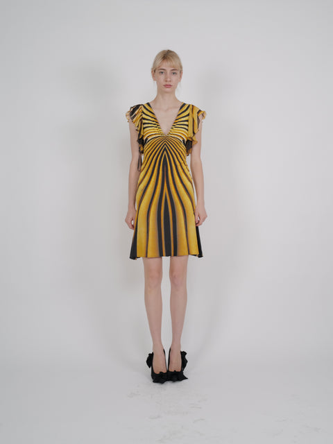 Roberto Cavalli S/S 2007 Amber & Black Tiger-Print Flutter-Sleeve Mini Dress